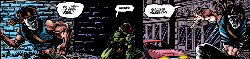 TMNTRaphComicBanner