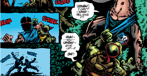 TMNTRaphComicFight