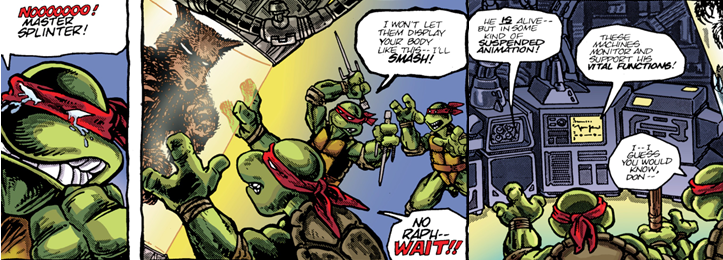 TMNTComic4Splinter2